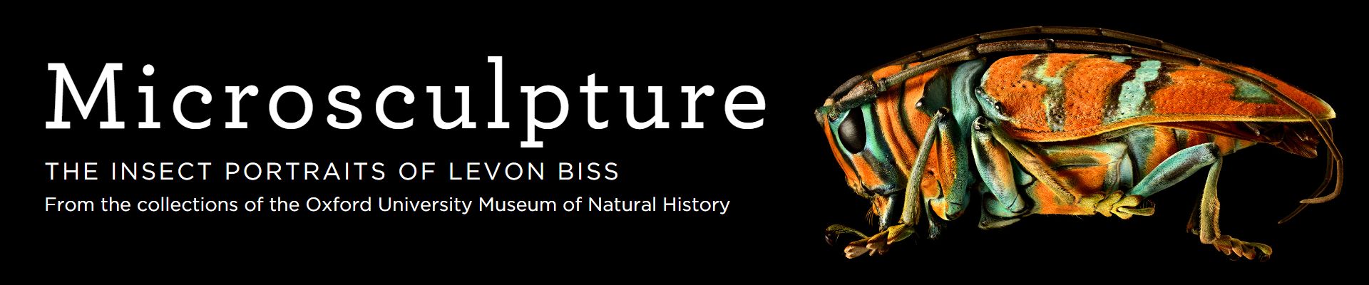 image of microsculpture exhibit title with image ©Levon Biss