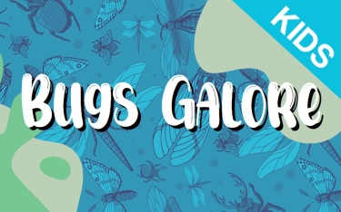 bugs galore image